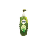 Patanjali Kesh Kanti Aloevera Hair Cleanser